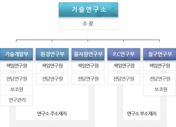 기술연구소 소장 기술개발부 책임연구원 전담연구원 보조원 연구관리  환경연구부 책임연구원 전담연구원 P.C연구부 책임연구원 전담연구원 철구연구부 책임연구원 전담연구원 보조원